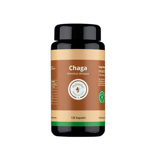 Chaga - Inonotus obliquus Chaga vitalpilze
