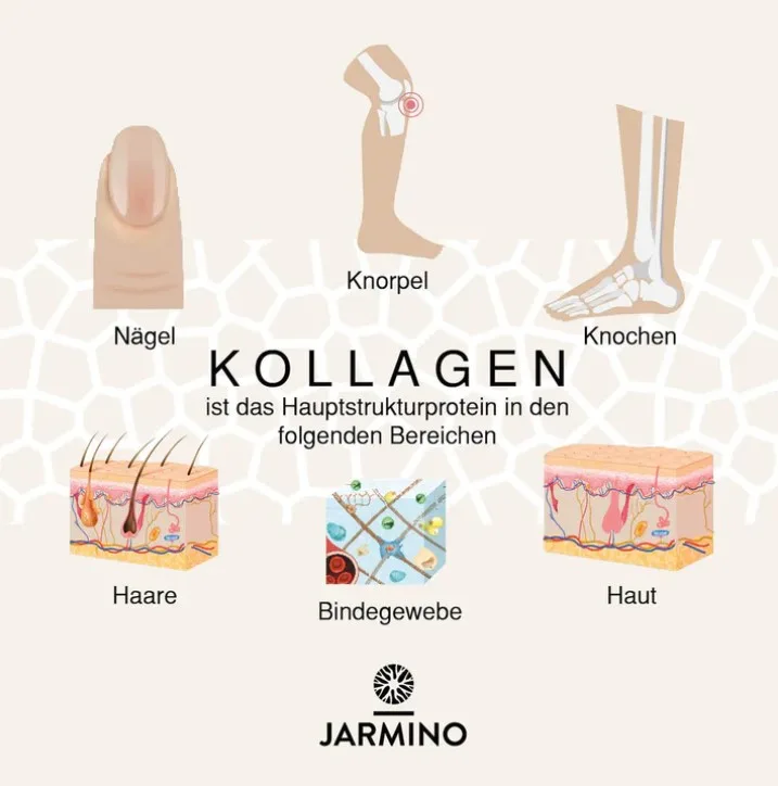 Jarmino beautycollagen - ketoshop.ch Jarmino beauty collagen