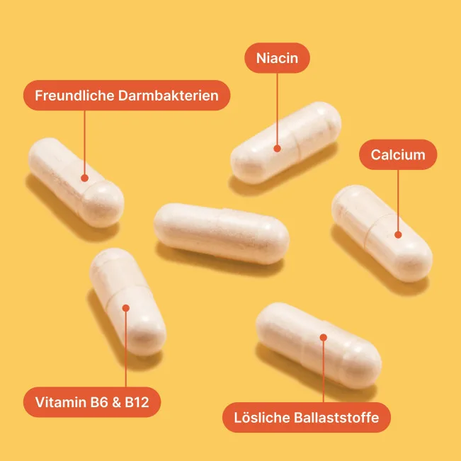 gut-care-Kapseln-Darm kur