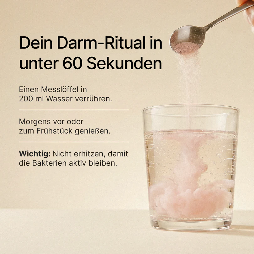 daily gut Pulver - Brain effect dailygut Pulver - Braineffect