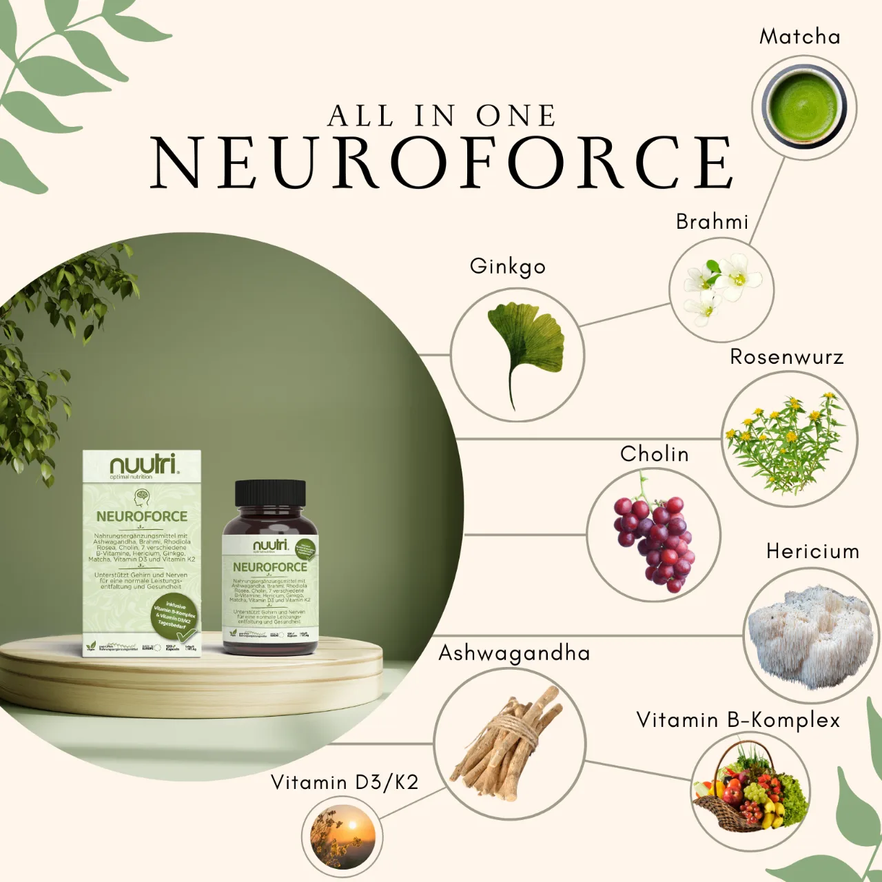 NEUROFORCE – Nuutri NEUROFORCE – Nuutri